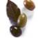 Olive Oil