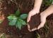 Earth to Body Earth to Body