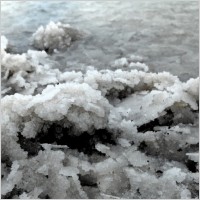 dead sea