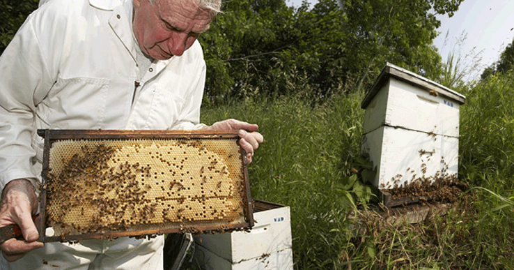 natural skin care products made with honey