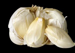 garlic