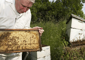 natural skin care products made with honey