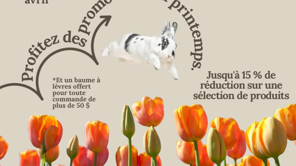 promotions du printemps